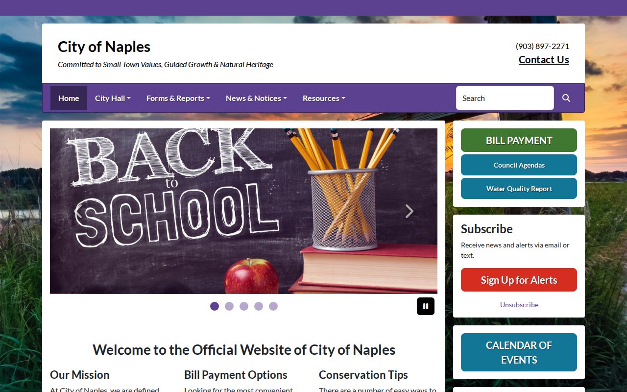 Naples criminal history official Texas city homepage